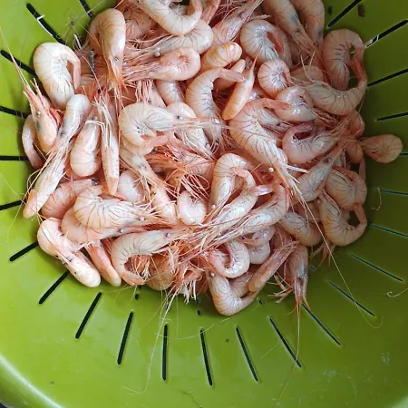 De Proche Pornic 6 Personnes Vakantiehuis *