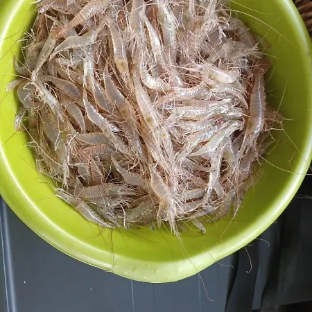 Vakantiehuis De Proche Pornic 6 Personnes *