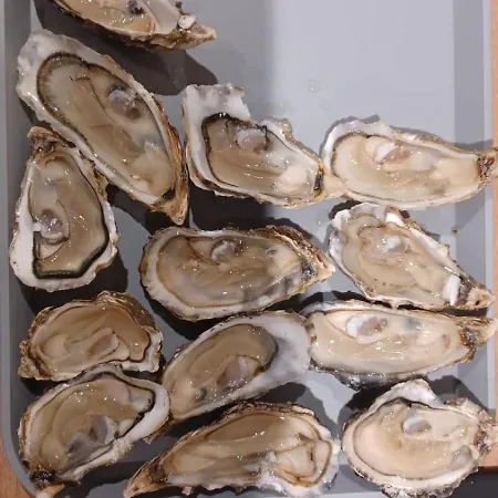 De Proche Pornic 6 Personnes Vakantiehuis *