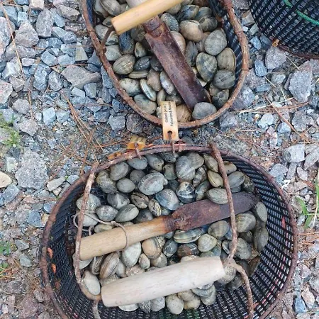 De Proche Pornic 6 Personnes *