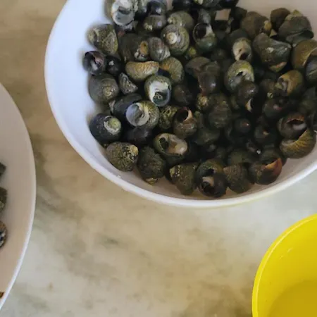 De Proche Pornic 6 Personnes Сasa de vacaciones