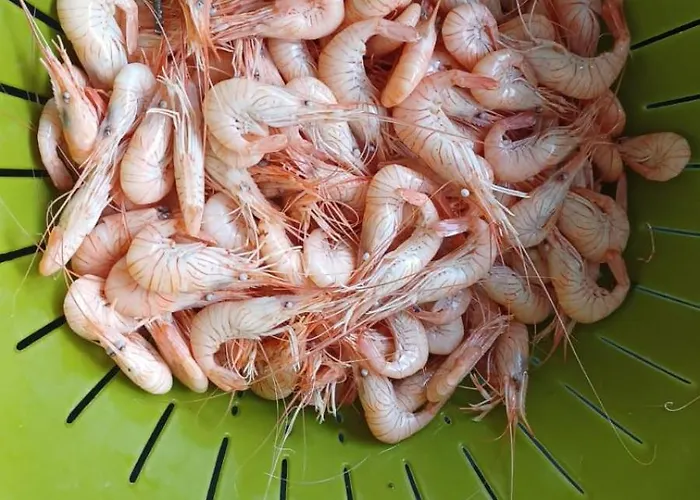 De Proche Pornic 6 Personnes Σπίτι διακοπών *