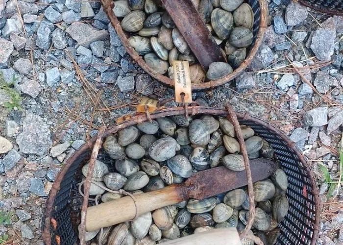 De Proche Pornic 6 Personnes *