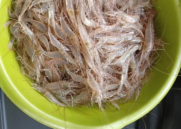 Σπίτι διακοπών De Proche Pornic 6 Personnes *