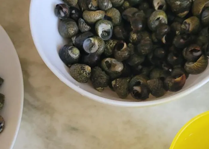 De Proche Pornic 6 Personnes Σπίτι διακοπών