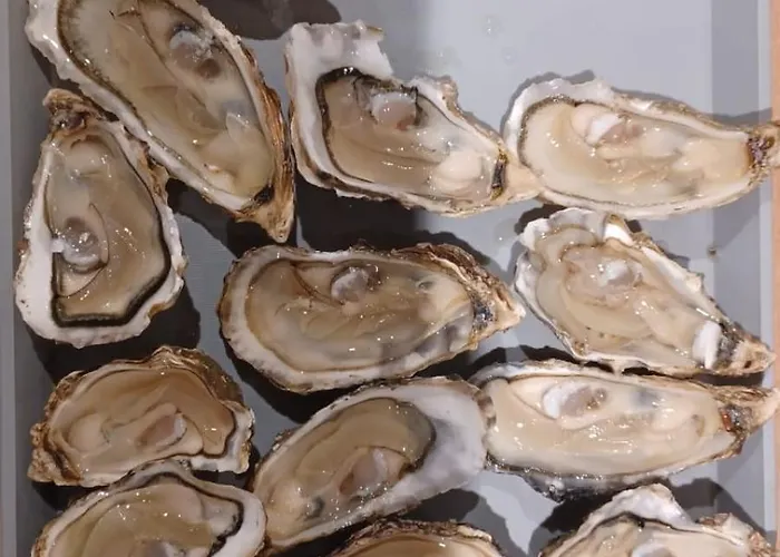 De Proche Pornic 6 Personnes Σπίτι διακοπών *